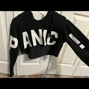 Panic at the disco crop